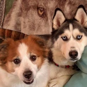 Meet your Posher, Ruth ann